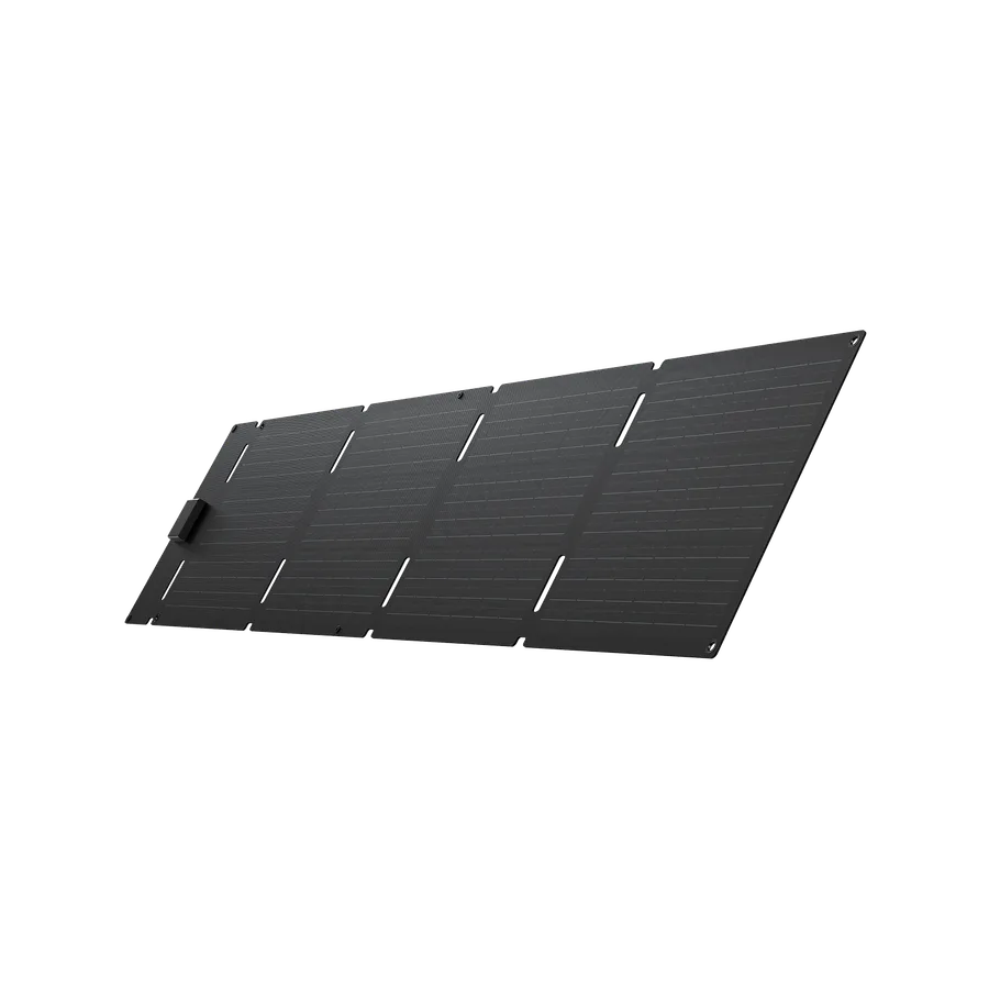 EcoFlow 60W Portable Solar Panel product reference